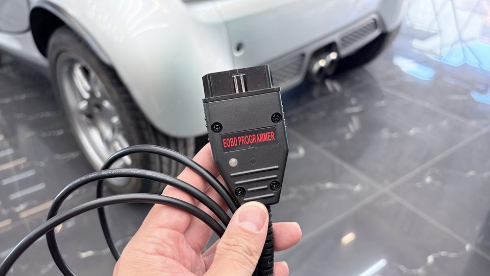 Galletto 1260 / EOBD Programmer OBD flashing cable